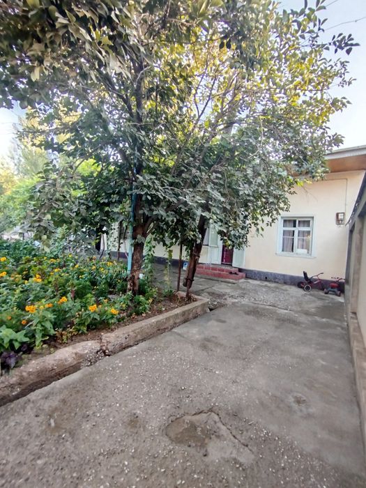 Xovli sotiladi Qibray tumani Salar shaharchasida