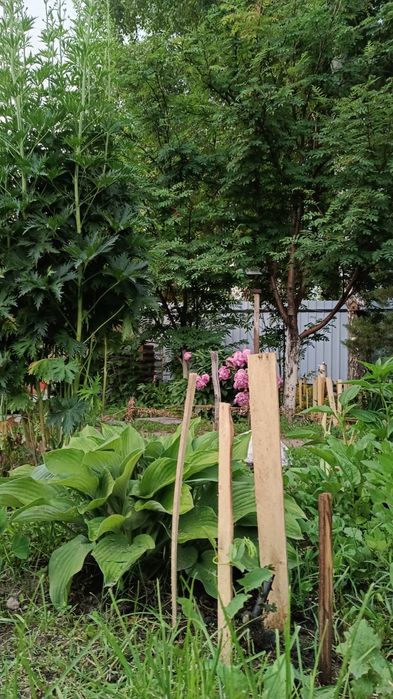 Продам зимнюю дачу в городе срочно