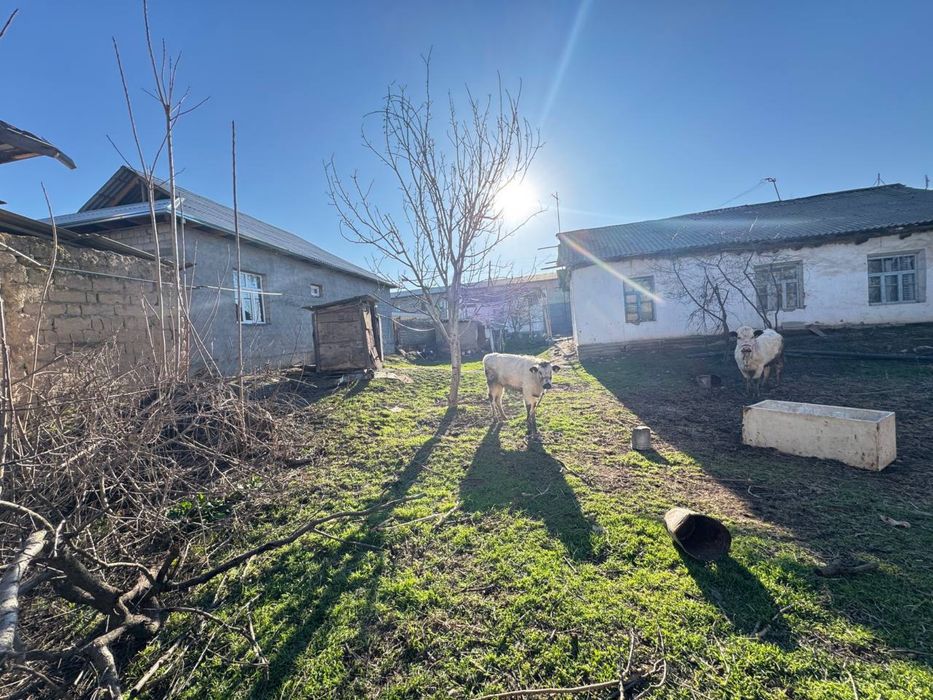 Sirdaryo shahar Dostlik mahallasida 9 soth hovli sotiladi