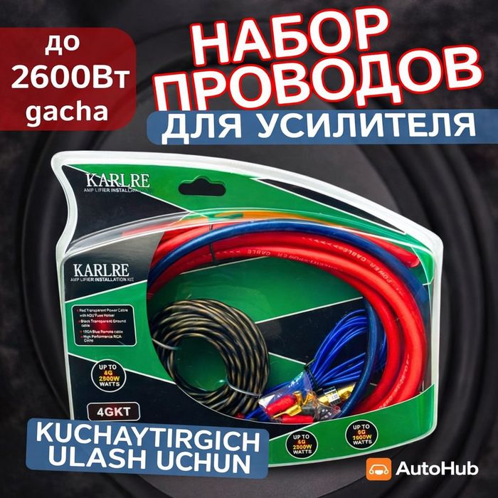 Tyulpan   Karlre  , Pioneer, Amplifier