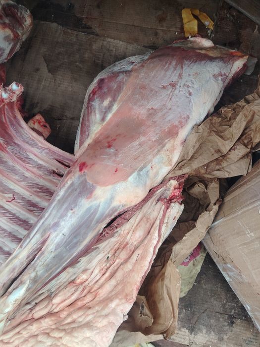 Ерментауское мясо.