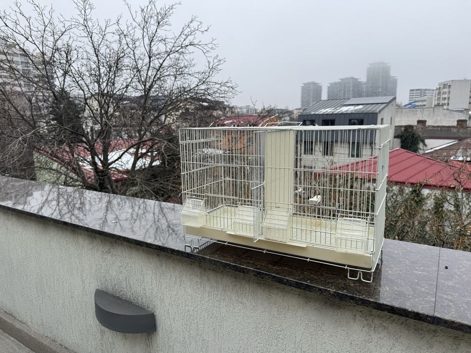 Colivie dubla cu perete despartitor 503