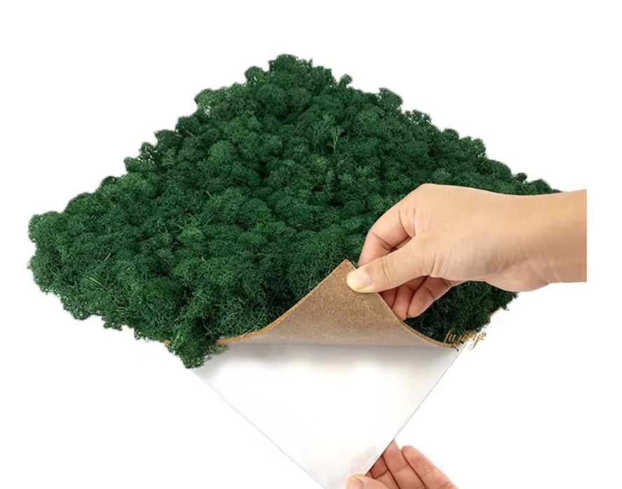 Скандинавски мъх , картини и пана , декорация зелен мъх , ПРОМОЦИЯ