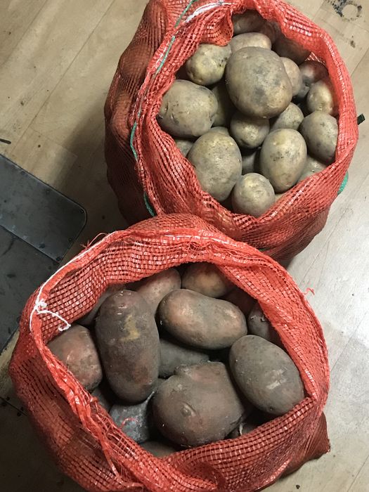 Домашний картофель