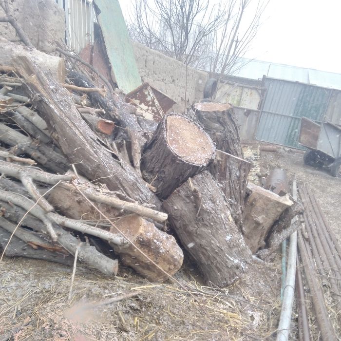 O'tin sotilade jigida zaldore quruq o'tin keleshtereb beraman hdfjfh d