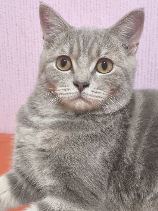 Вязка вязка вязка