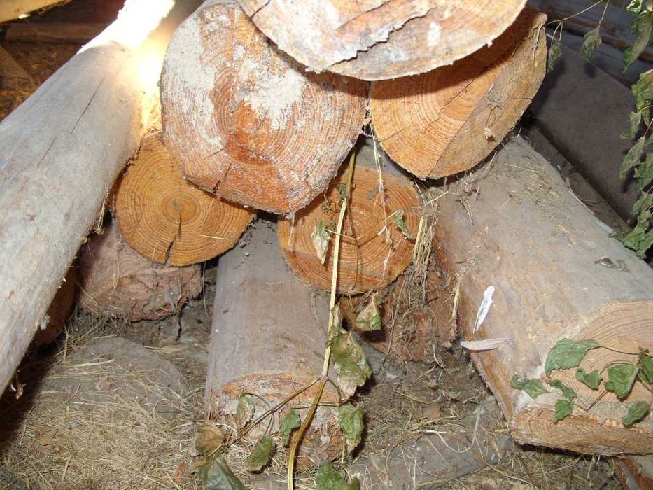 Предлага дървен материал- мертеци и греди