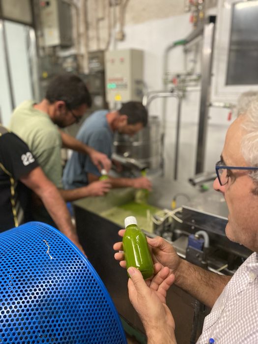 Ulei de masline filtrat la rece extravigin aciditate 0.2%