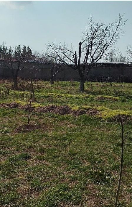 2 участка по 6 соток + по 2 сотке самозахвата на каждый участок