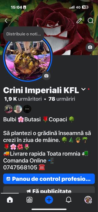 Crini imperiali KFL