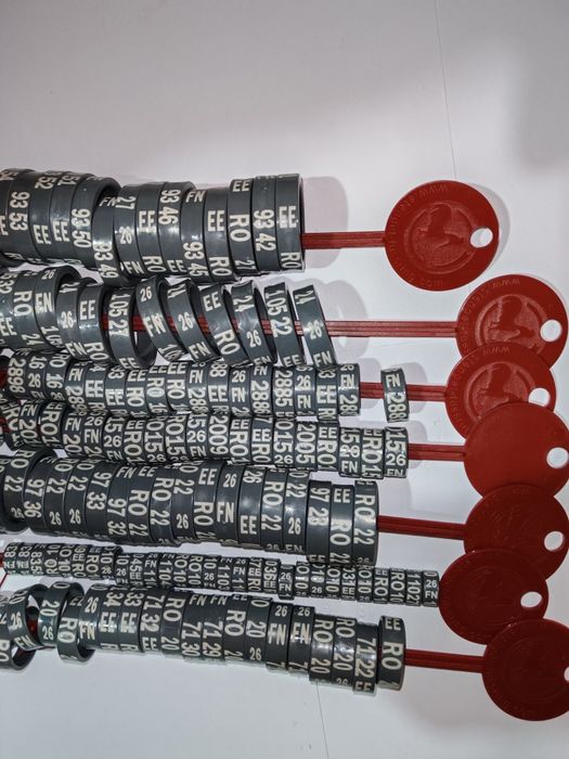 Inele pentru găini de rasă