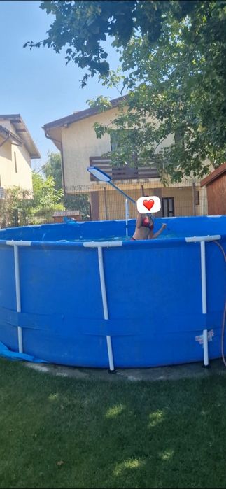 Piscina mare,2.50m cu 1.60 inaltime toate ustensilele plus robot de curatare