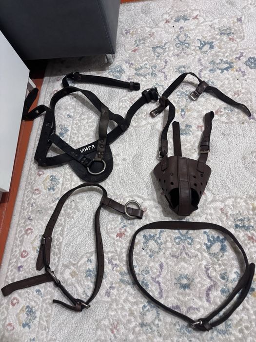 Намордник ошейник