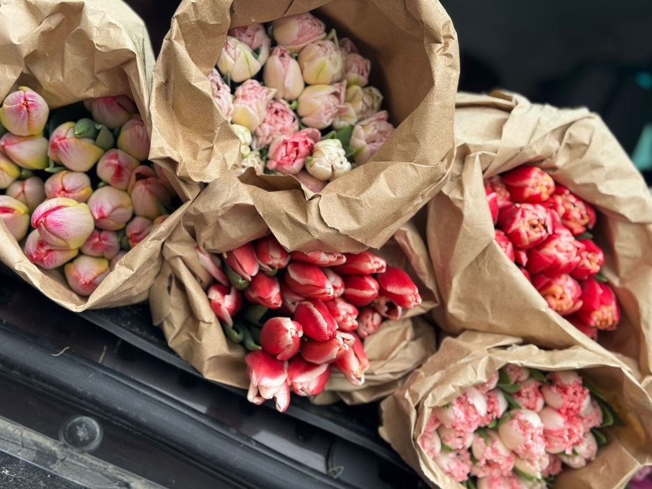 Голландские тюльпаны