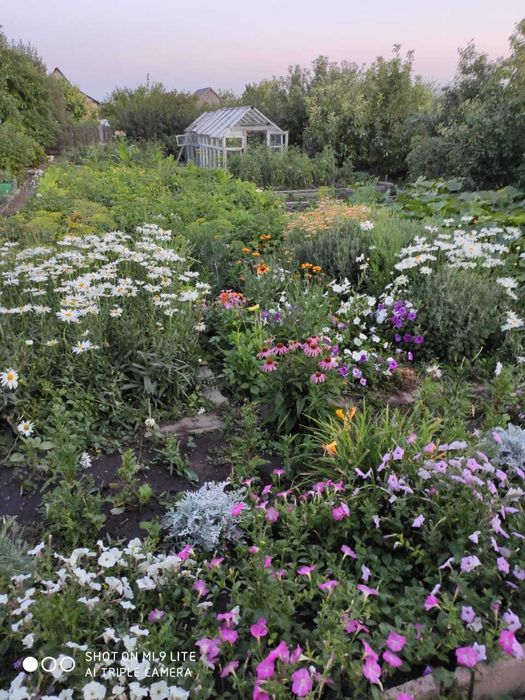 дача на федоровском водохранилище