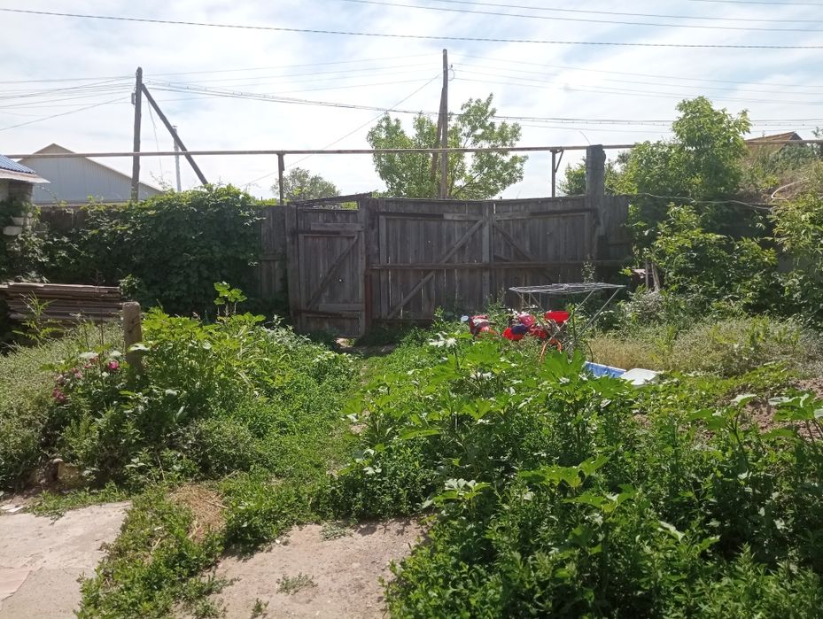 Продам дом большом чагане