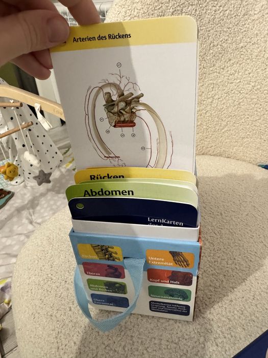 LernKarten der Anatomie / Учебни карти по анатомия