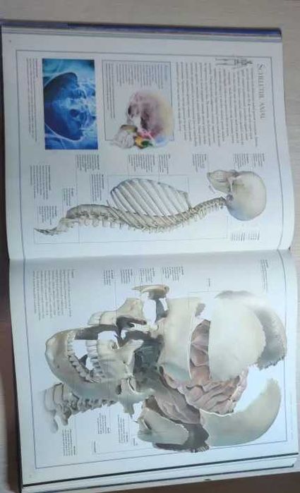 Atlas Anatomie + manual Biologie - BAC, cls.11-12!