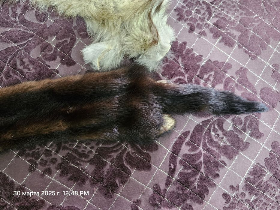 Продам меха СССР 50 размер