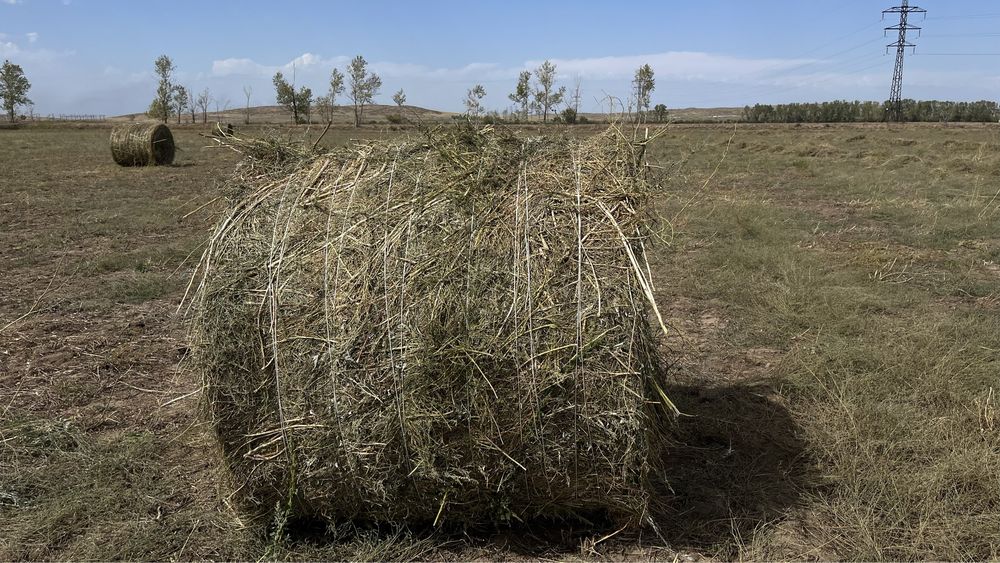 Рулон шөп сатылады