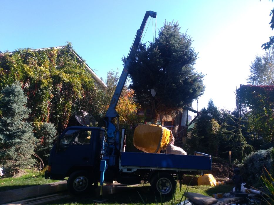 Услуги Маленького Манипулятора