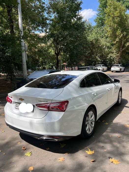 Malibu Premier 2020