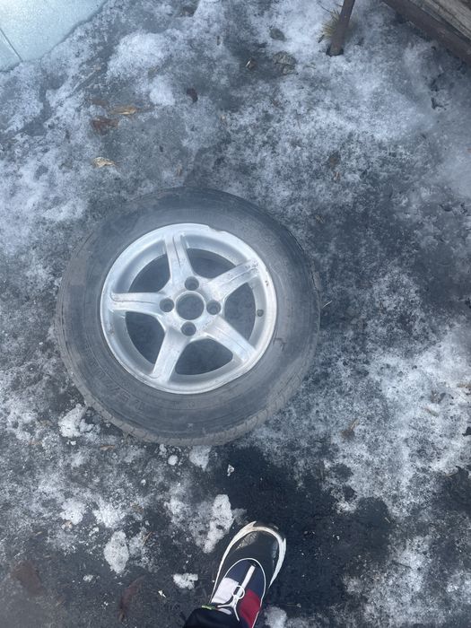 Продам диски с ризиной Р13