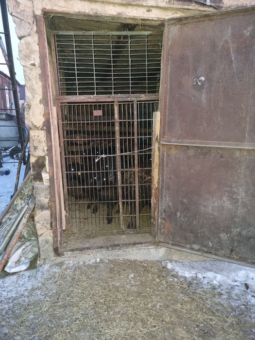 Продам дом на дальней