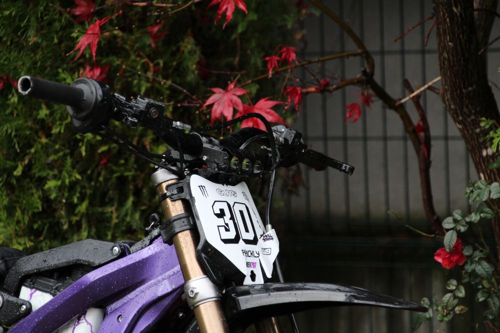 2025 Surron light bee x