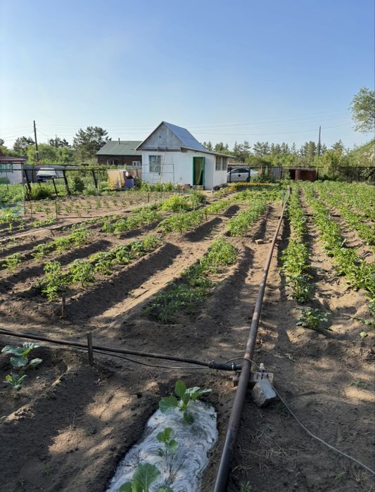 Продам дачу Сосновый бор