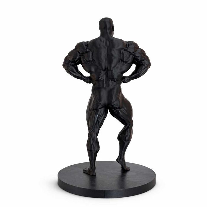 Mr.Olympia Arnold, Lee Haney, Dorian Yates, Ronnie Coleman, Jay Cutler