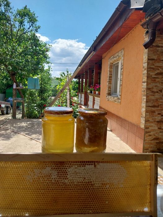 Miere 100% bio neprocesata stupina proprie