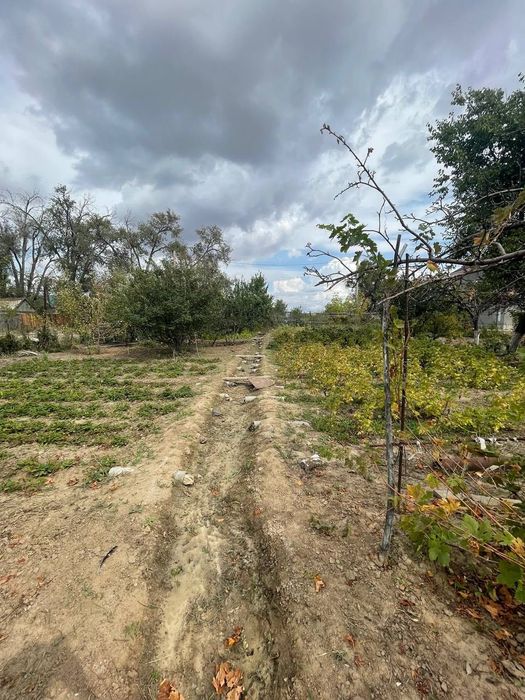 Продается дачный участок ( дача)