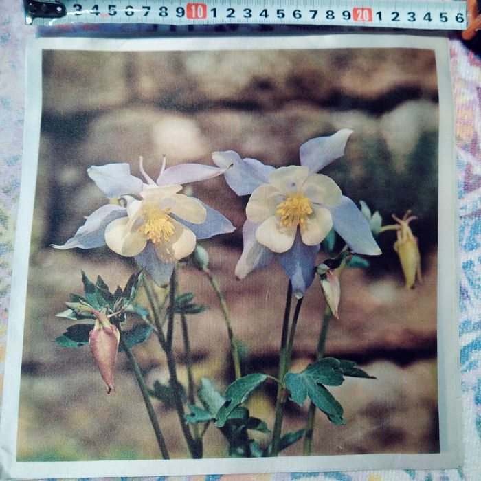 Нов комплект-ръкохватка, ръкавица , кърпа100% памук и шпатула за торта