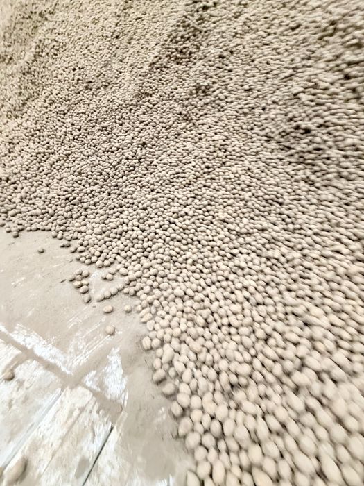 Продам семена картофеля Гала