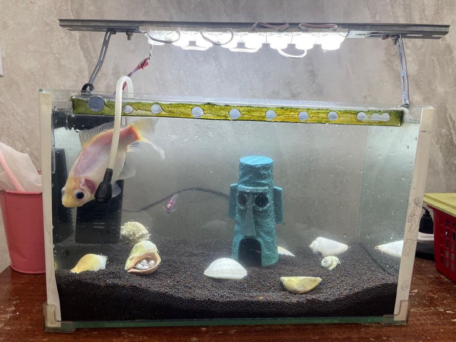 Продам аквариум с рыбами, фильтром и подсветкой