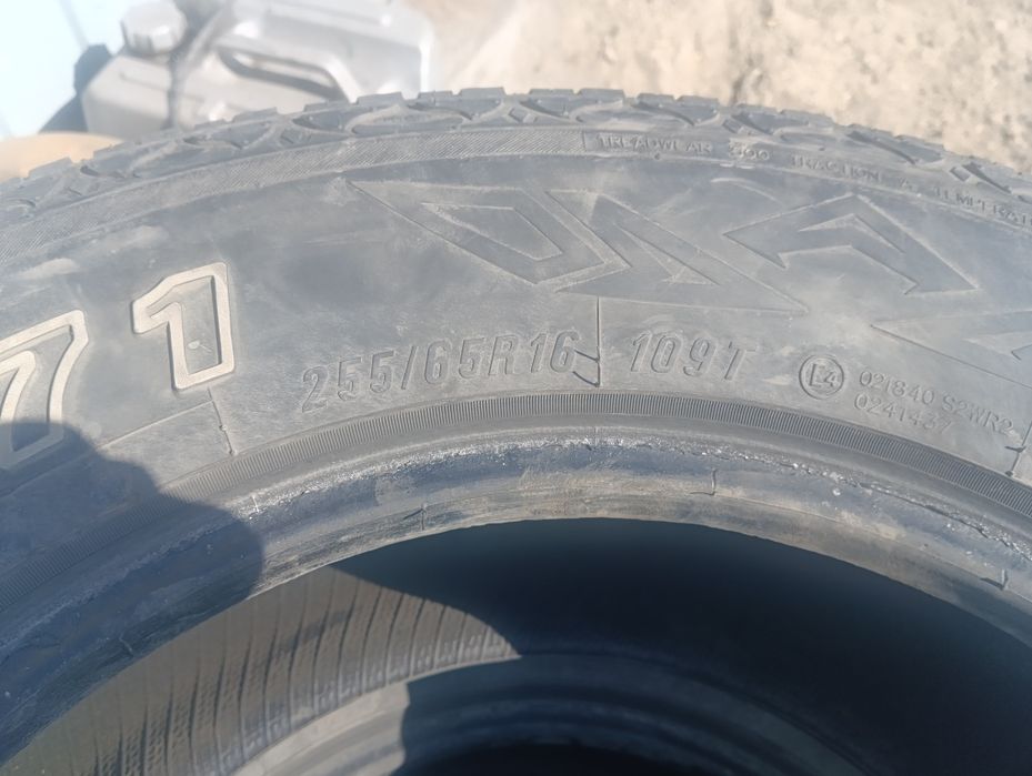 Продам резину MAXXIS BRAVO