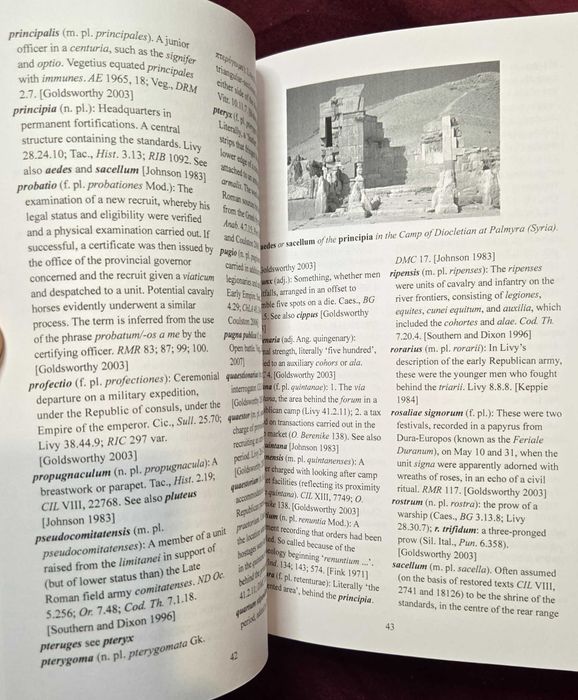 VT Milites Dicvntvr. A Dictionary of Roman Military Terms and Terminology