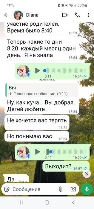 автоняня от двери до двери с опытом