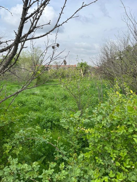 Дача в Арысь за Дендро парком