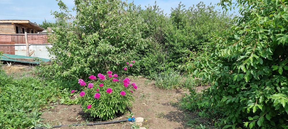 Продам дачу в СО "Текстильщик-1"