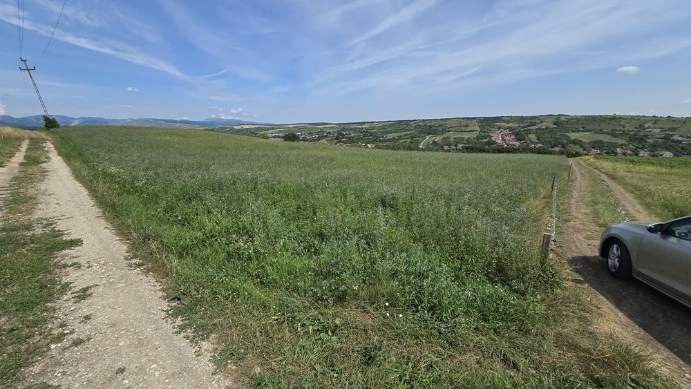 Teren la capătul strazii Ștefan cel Mare