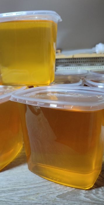 Мед в сотах 2025 года