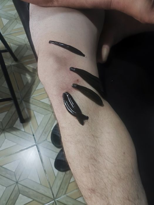 Гинеколог порно видео