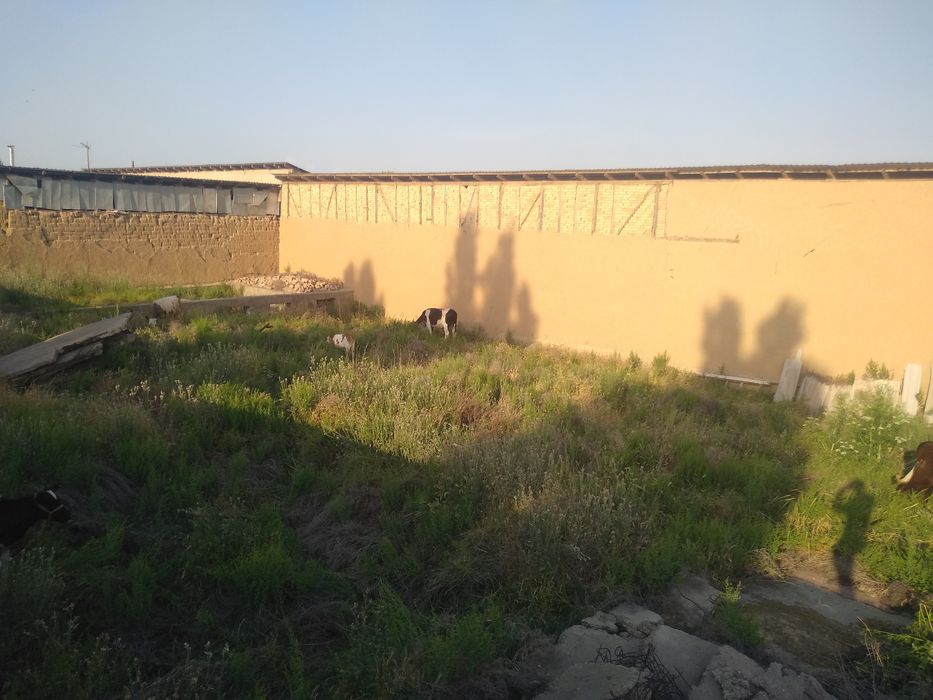 Yer sotiladi toshmi postdan 5 km kirganda