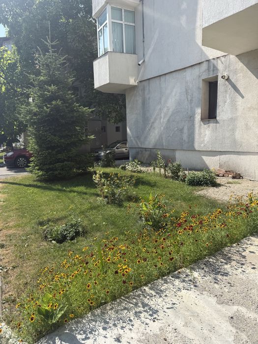 Garsoniera de vanzare