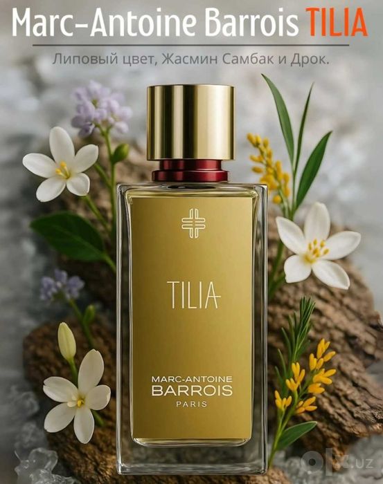 Tilia Marc-Antoine Barrois