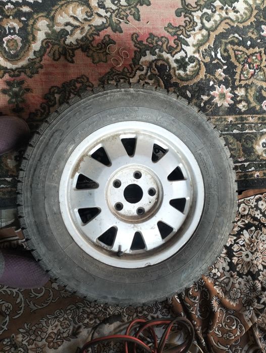 Шыны шыны шыны шыны