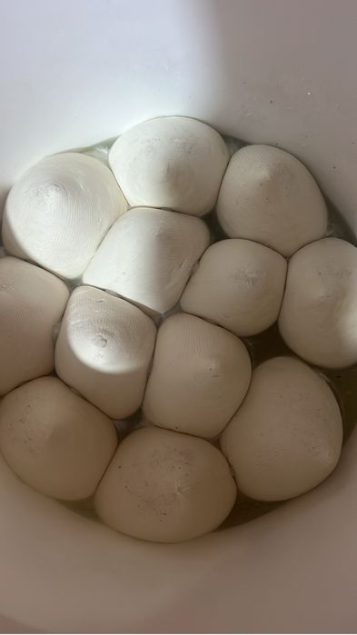 Vand branza din lapte de capră fara nici un amestec