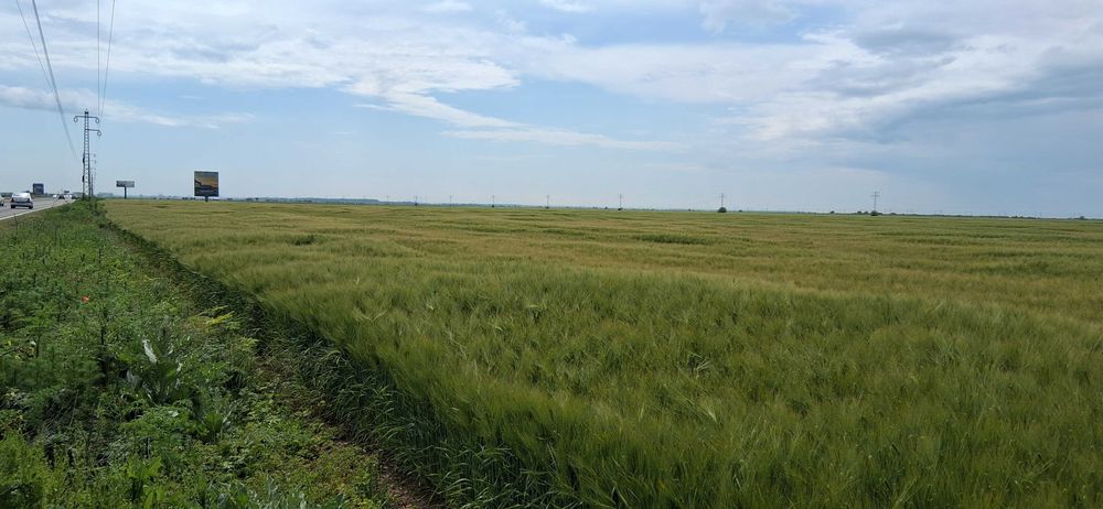 Teren 15.533 mp,deschidere 39 ml la DN1 ideal investitii industriale